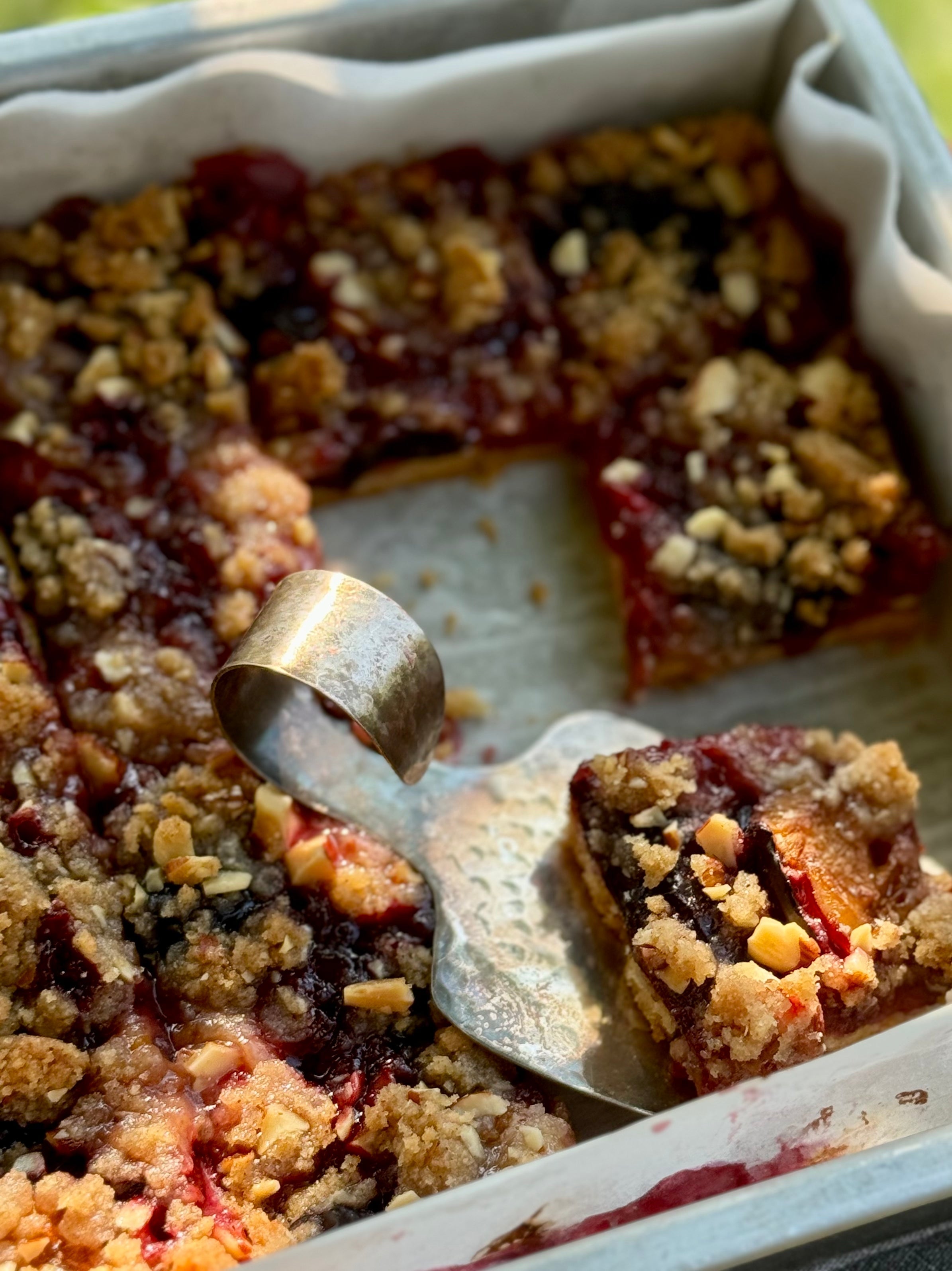 Plum Crumble Bars aka "The PLUMBLE" – Flavourfull